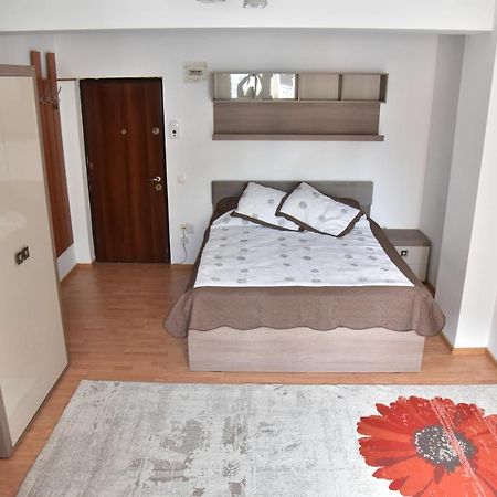 Apartament Frunzei Sibiu Exterior foto